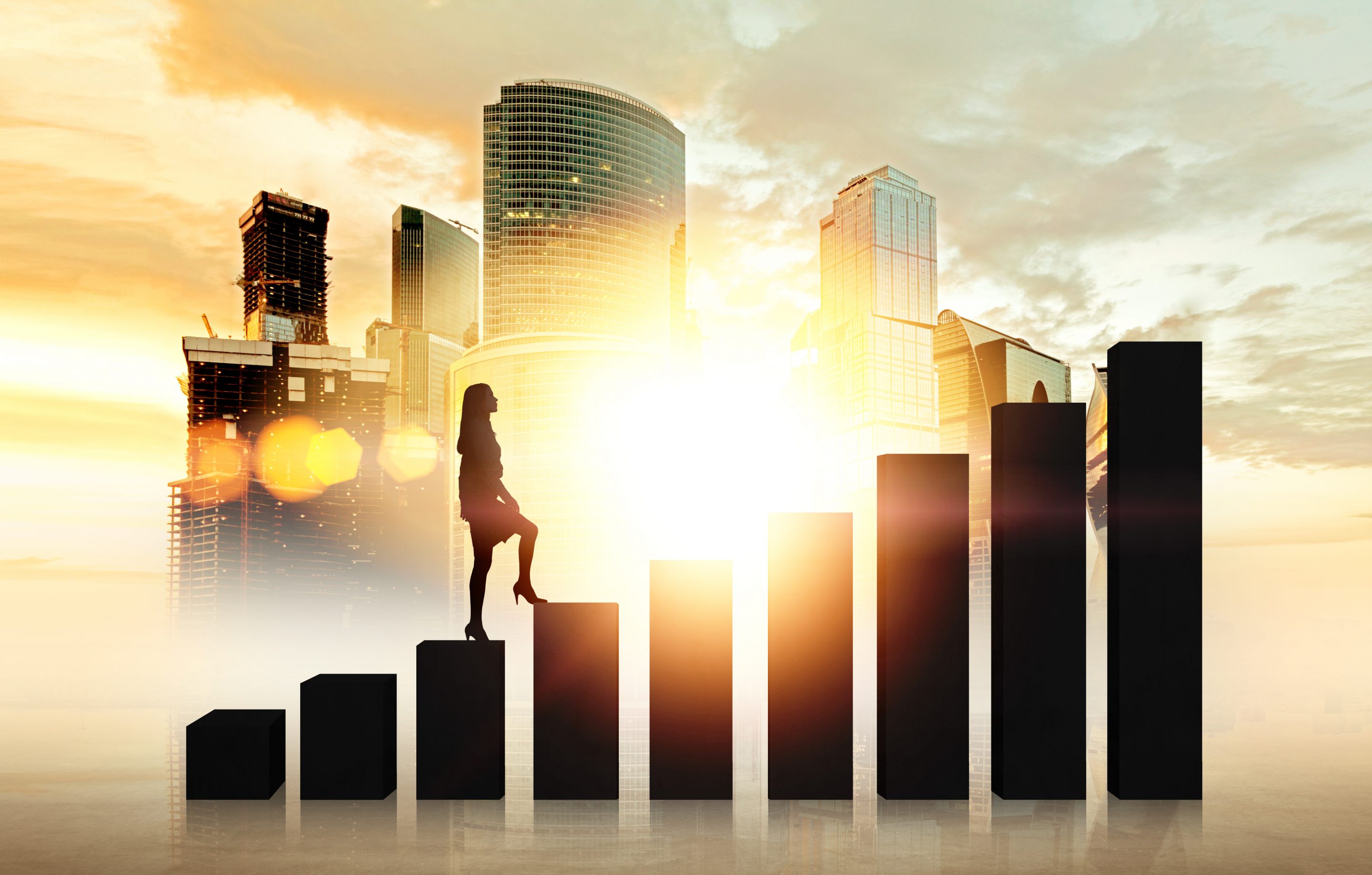 Businesswoman climbs ladder of success
